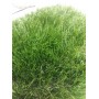 Искусственная трава Деко 60